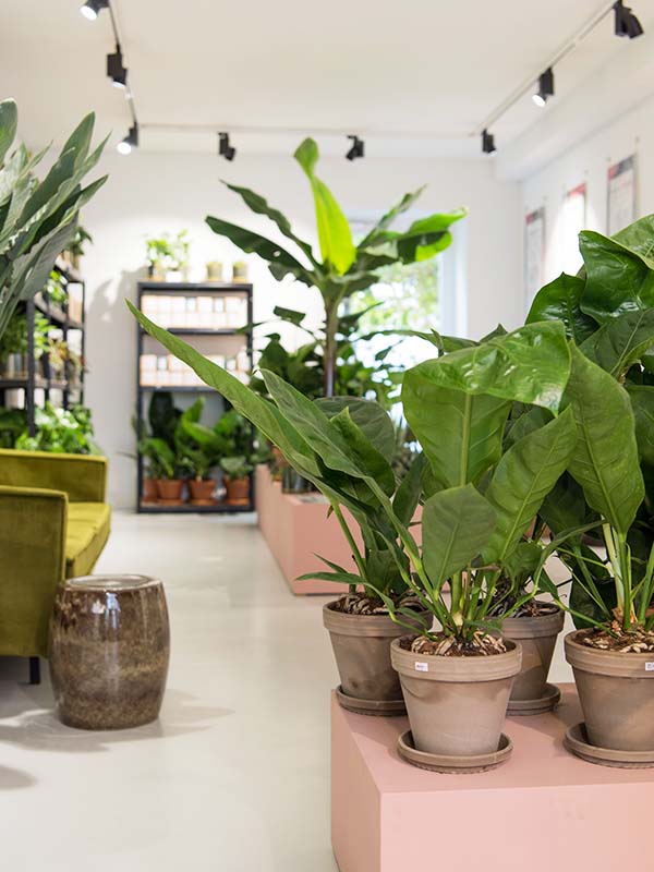 Green Lifestyle Store Popup // WIN // Your Little Black Book