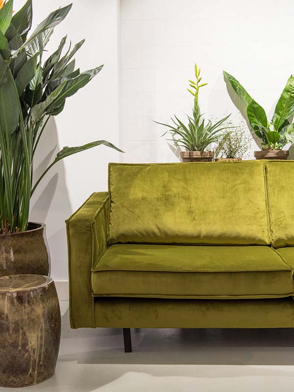 Green Lifestyle Store Popup // WIN // Your Little Black Book