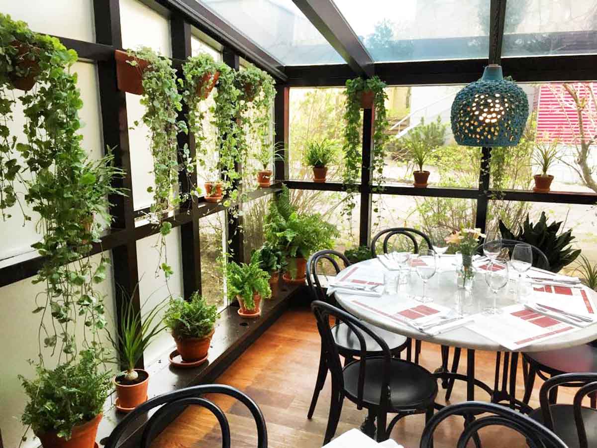 Snaps Reykjavik >> Reykjavik City Guide >>