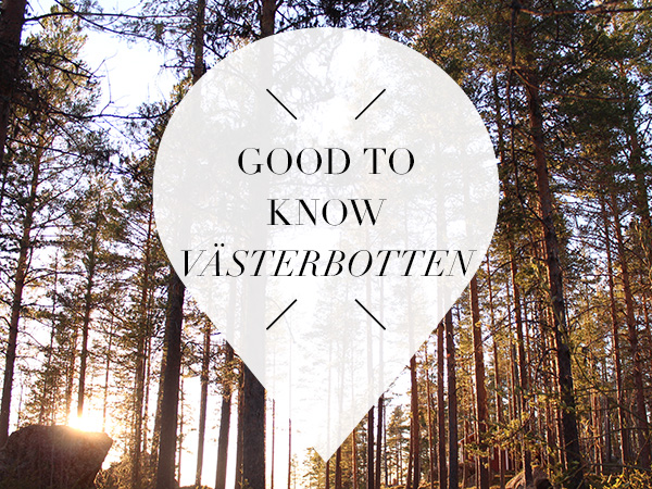 10 X Good To Know About Vasterbotten In Swedish Lapland Your Little Black Book