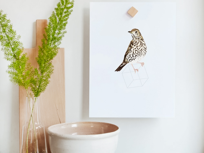 leukste winkels nijmegen 