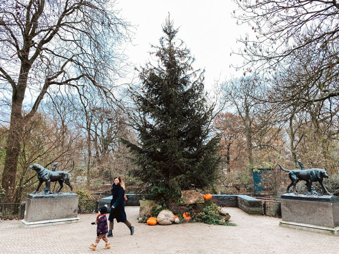 doen in de kerstvakantie in Amsterdam 