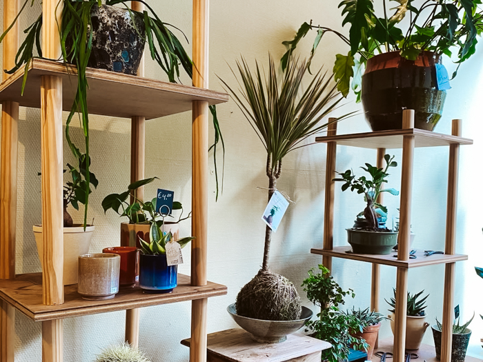 leukste winkels den haag 