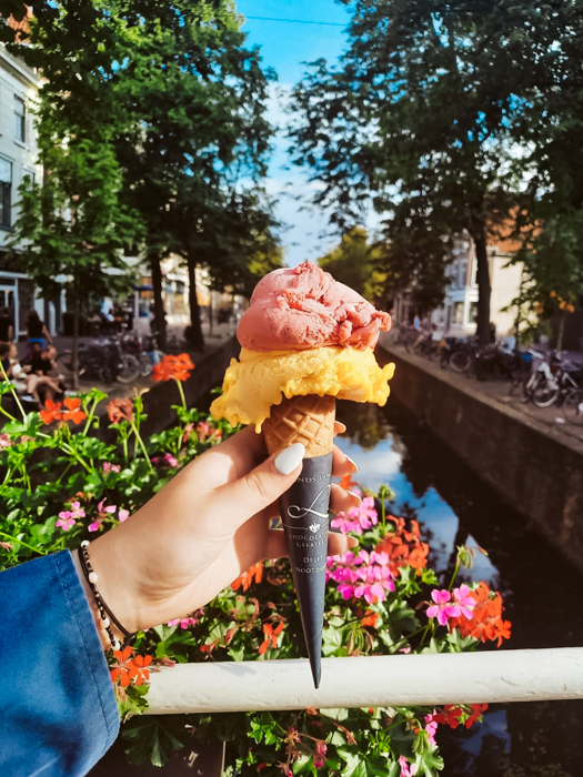 Leuke dingen om te doen in Delft de Lelie
