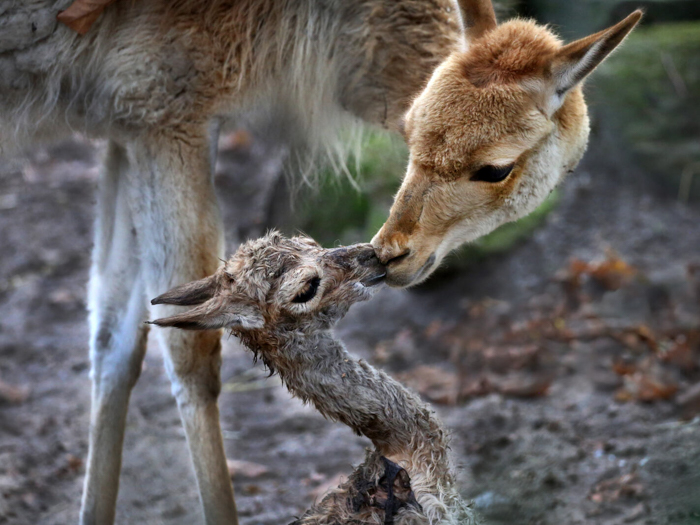 leuk om te doen in de herfstvakantie 2025 amsterdam, leuke uitjes in amsterdam in herfstvakantie 2025, doen met kids herfst amsterdam, doen met kinderen herfstvakantie amsterdam