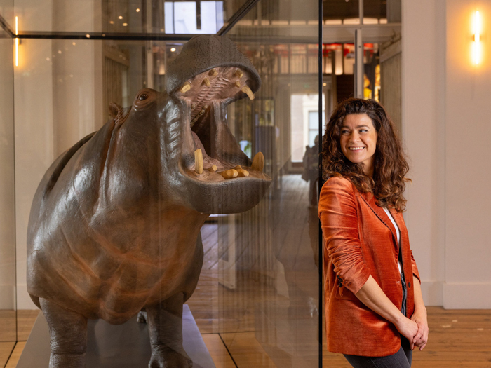 nieuwe tentoonstellingen in amsterdam in oktober 2025