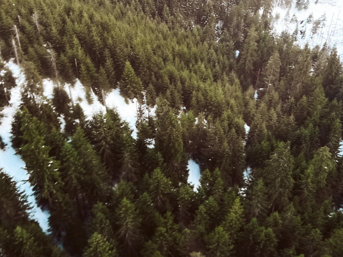 Zakopane travel guide, Zakopane in de winter, hotspots in Zakopane, wintersport in Zakopane