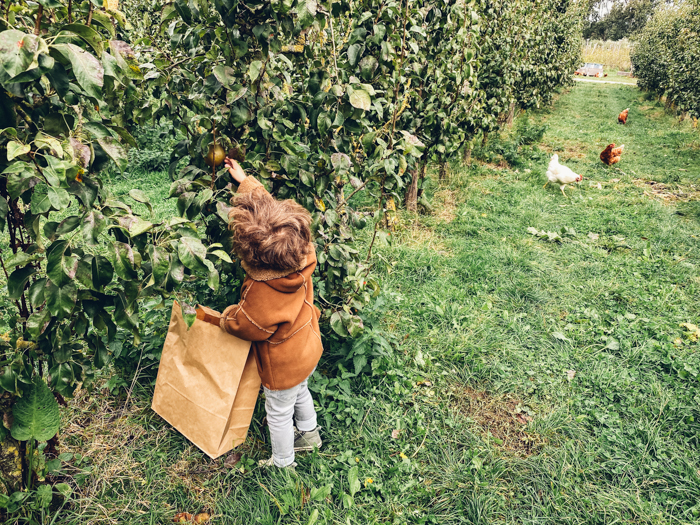 horeca met speelplek in Amsterdam 
