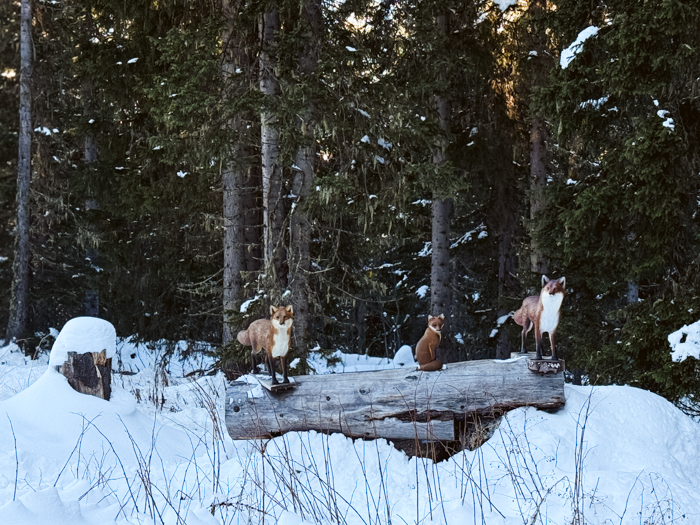 wintersport in meribel met kinderen, wintersport met kinderen in les 3 vallees tips, leuke wintersportgebieden met kinderen