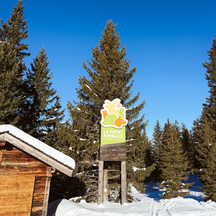 wintersport in meribel met kinderen, wintersport met kinderen in les 3 vallees tips, leuke wintersportgebieden met kinderen